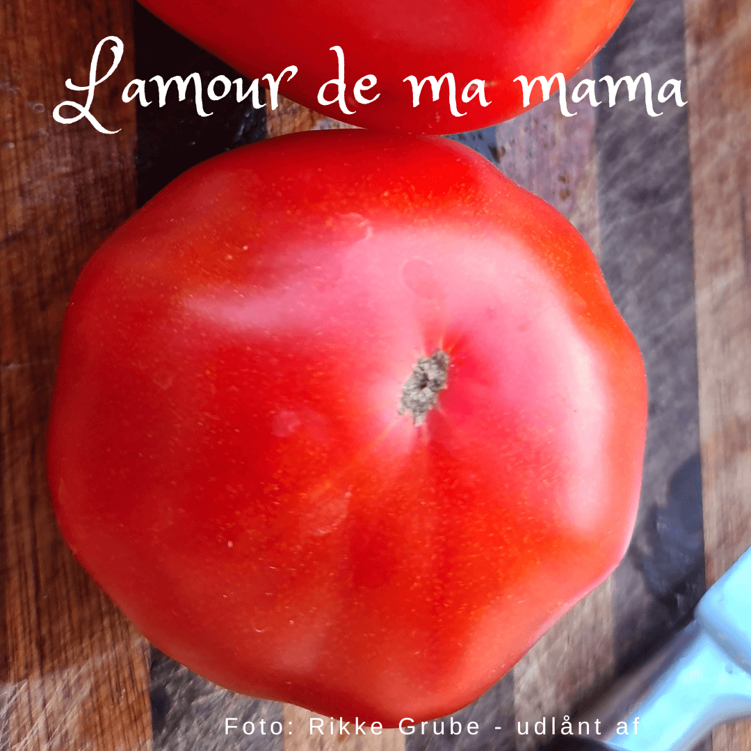 L’amour de ma mama